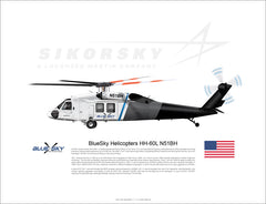 01_BLUE_SKY_BLACK_HAWK_N51BH_2