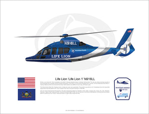Life Lion Airbus EC155 'LIFE LION 1' N916LL - Flying