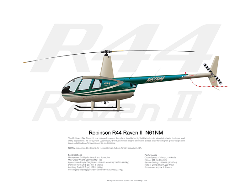 Robinson R44 Raven II N61NM