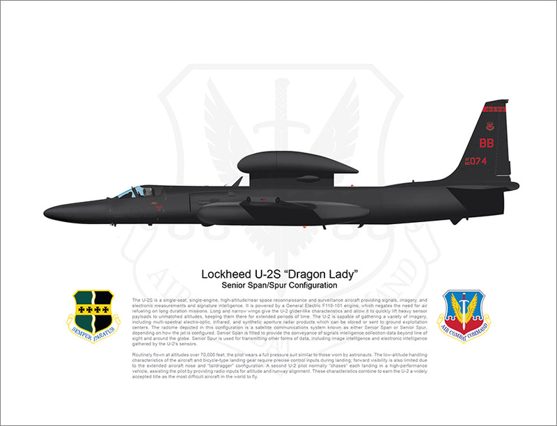 BEALE 9TH RW Lockheed U-2