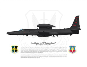 BEALE 9TH RW Lockheed U-2 "Dragon Lady" Senior Glass Configuration