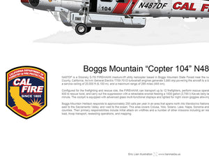 CAL FIRE FIREHAWK BOGGS MOUNTAIN HELITACK “Copter 104” N487DF - Static