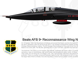 BEALE 9TH RW Northrop T-38 Talon 270