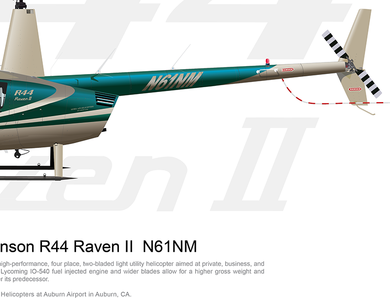 Robinson R44 Raven II N61NM