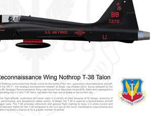 BEALE 9TH RW Northrop T-38 Talon 270