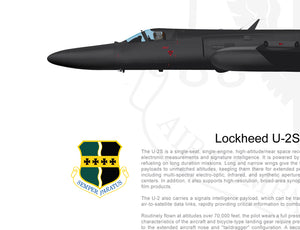 BEALE 9TH RW Lockheed U-2 "Dragon Lady" Super Pods Configuration